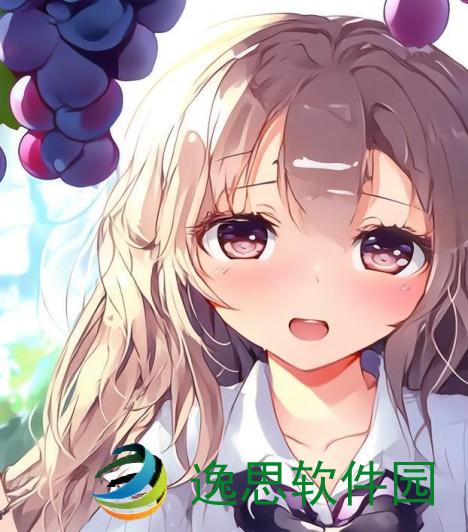 从校服衣袖透视葡萄的清新思绪与青春记忆