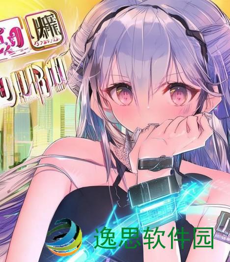 探索日本精品卡的魅力：从二卡到四卡的全方位体验与收藏指南