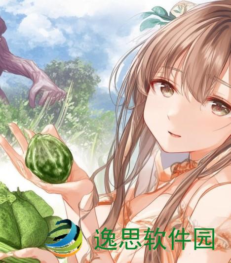 丝瓜与绿巨人蕾丝秋葵的健康功效大揭秘与养生之道