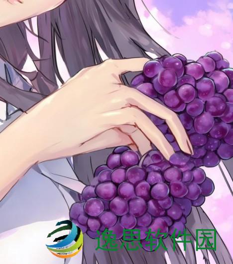 从校服衣袖看到的葡萄从校服衣袖看到葡萄 照片