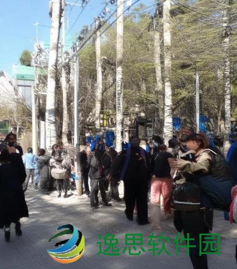 公交车最后一排的故事 C的秘密与心声交织的青春旅程