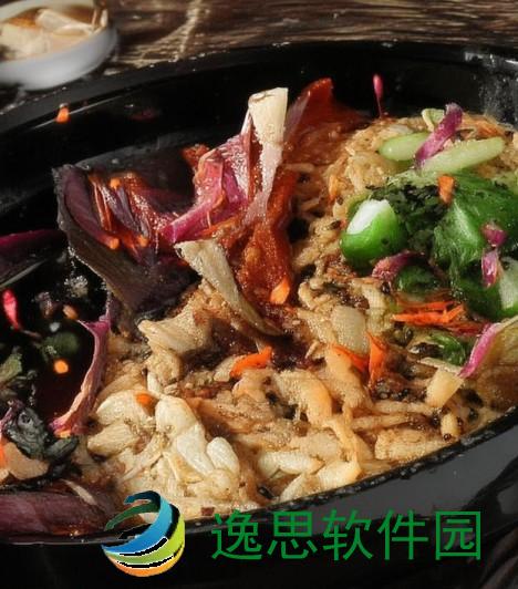 QQ飞车展翅翱翔梦想之旅开启速度与激情的全新篇章