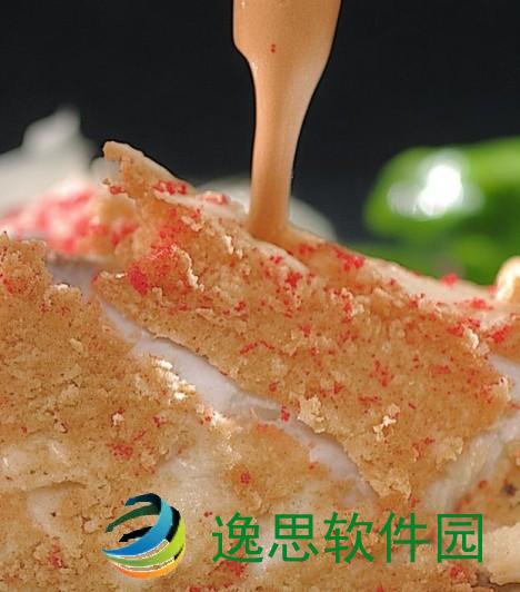 BB的独特魅力与风采展现，探寻她背后的故事与精彩人生