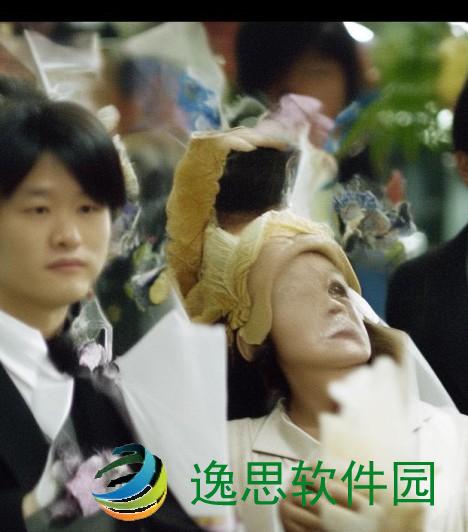 国产精华的魅力与效果揭秘 让肌肤焕发自然光彩的秘密所在
