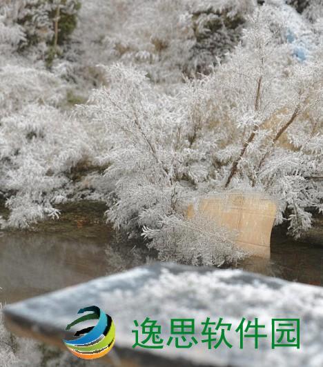 色彩斑斓的书籍世界探秘 让我们一起领略文字的魅力与色彩的交融