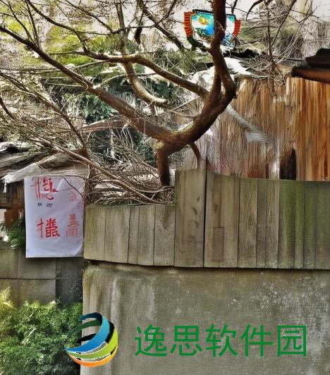 畅玩太鼓达人下载，尽享音乐节奏的无限乐趣与挑战