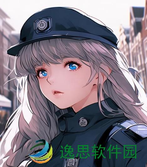 荷兰警察制度;荷兰警察制度的演变与现代化探索解析