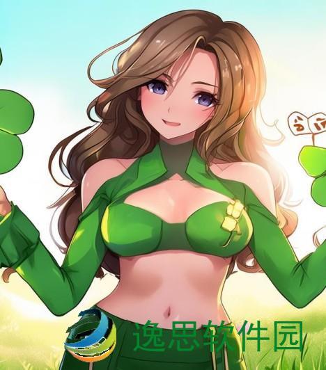 三叶草M码与欧洲码的区别解析及选购指南