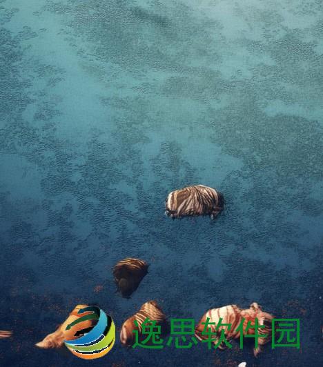 ad寡妇打野天赋;掌握ad寡妇打野天赋的秘密技巧与实战解析