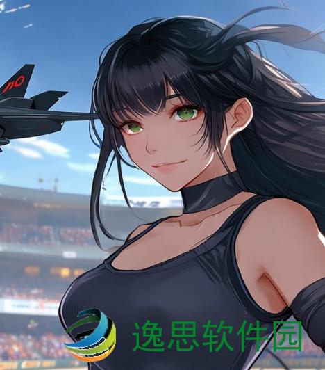 大学篮球体育飞机chinese的功能介绍(飞机篮球明星)