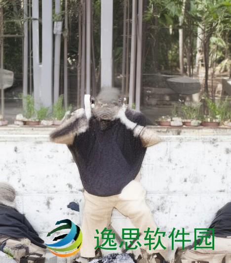 宝宝湿气重流口水的原因与应对方法详解