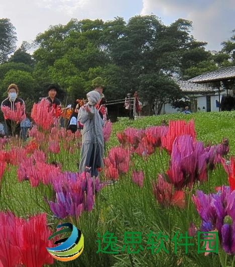 麦凯伦12,麦凯伦12：超越极限的速度与激情之巅峰之作