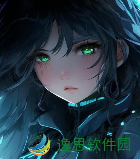 探索阴影网络的秘密世界与潜在风险分析
