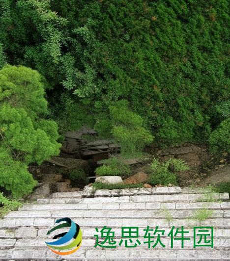 昔日蘑菇视频的辉煌与沉寂探讨，重温网络视频的变迁与未来展望