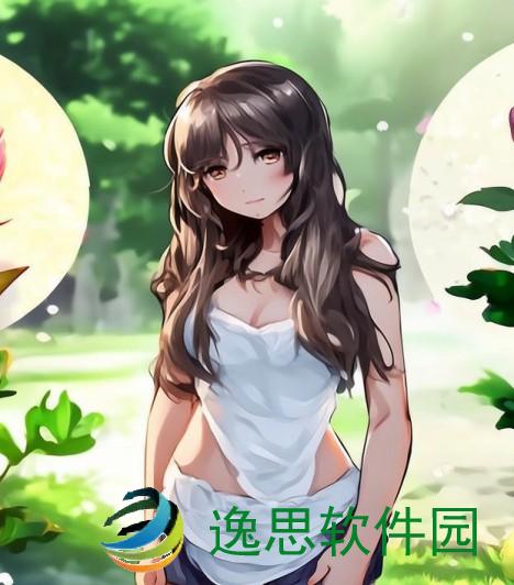 后面菊花开过和没开过的区别图片—菊花后面是什么花