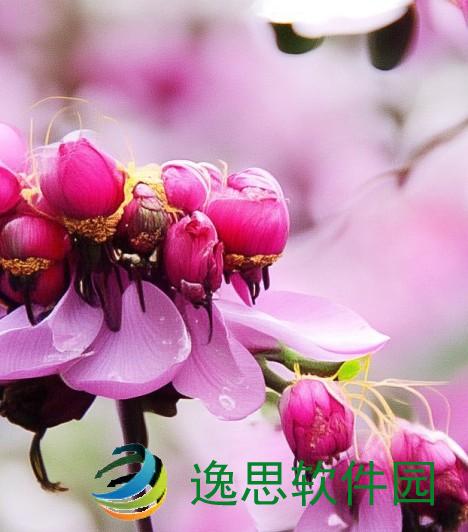 中文字幕电影乱码在线观看,中文字幕电影乱码在线观看免费