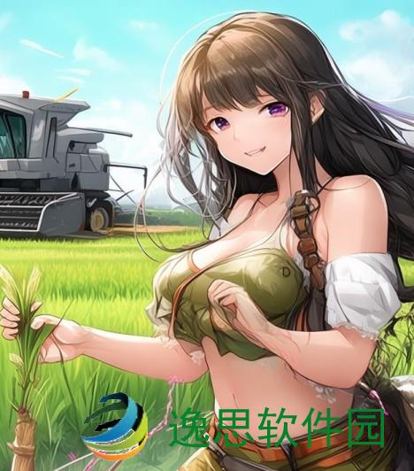 田间插秧的传统技艺与现代农耕的完美结合视频展示