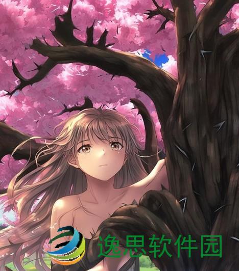 海棠怎么上不去_海棠花开却难攀登的心情与追寻之旅