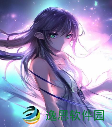 擒灵网：探寻灵魂深处的智慧与力量之路