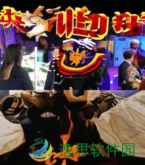 艾露西亚闪退原因解析及解决方案探讨