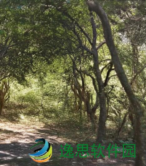 小烧货怎么样、小烧货的魅力与美味探秘让你欲罢不能的舌尖享受