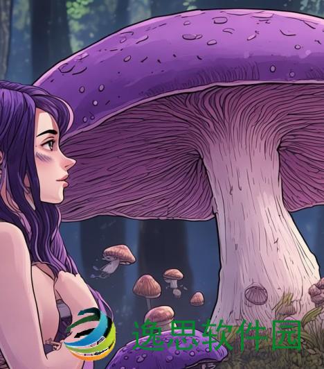 紫色粗大蘑菇能否食用及其毒性分析探讨