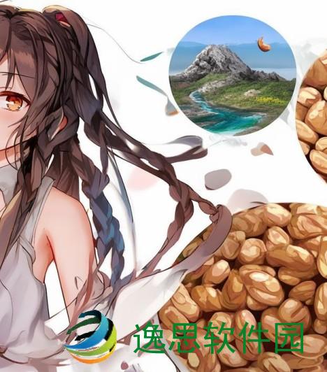 麻花豆精产三产区区别和产品特点—麻花豆是什么