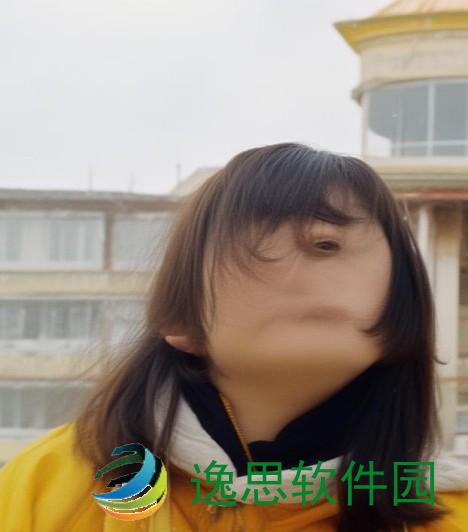沉香十大产地排名揭晓 探寻最珍贵的沉香源头与魅力