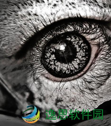 S5直播声卡性能评测及使用体验分享全方位解析