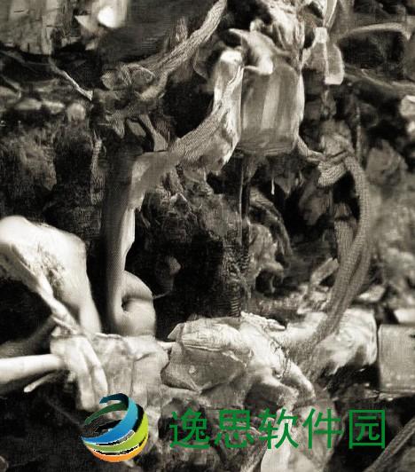 蜜芽在线观看跳转接口是哪个、蜜芽在线观看跳转接口解析及使用指南详解